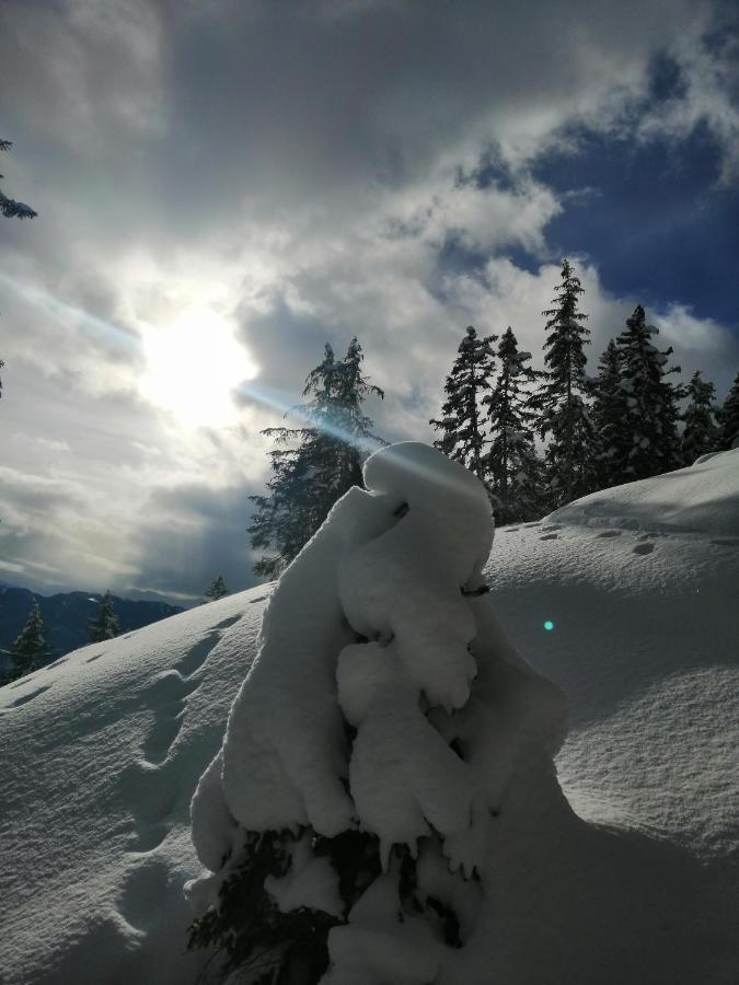Hotel Garni Alpendiamant Fiss Exteriör bild